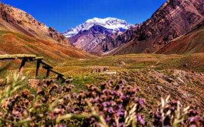 Medical Mission Trips to Argentina