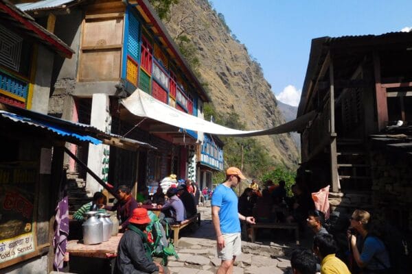 himalayan